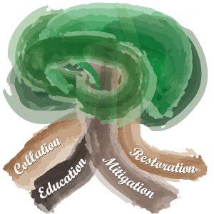 Balanced Justice Project's Garden, with roots Collation, Education, Mitigation, Restoration