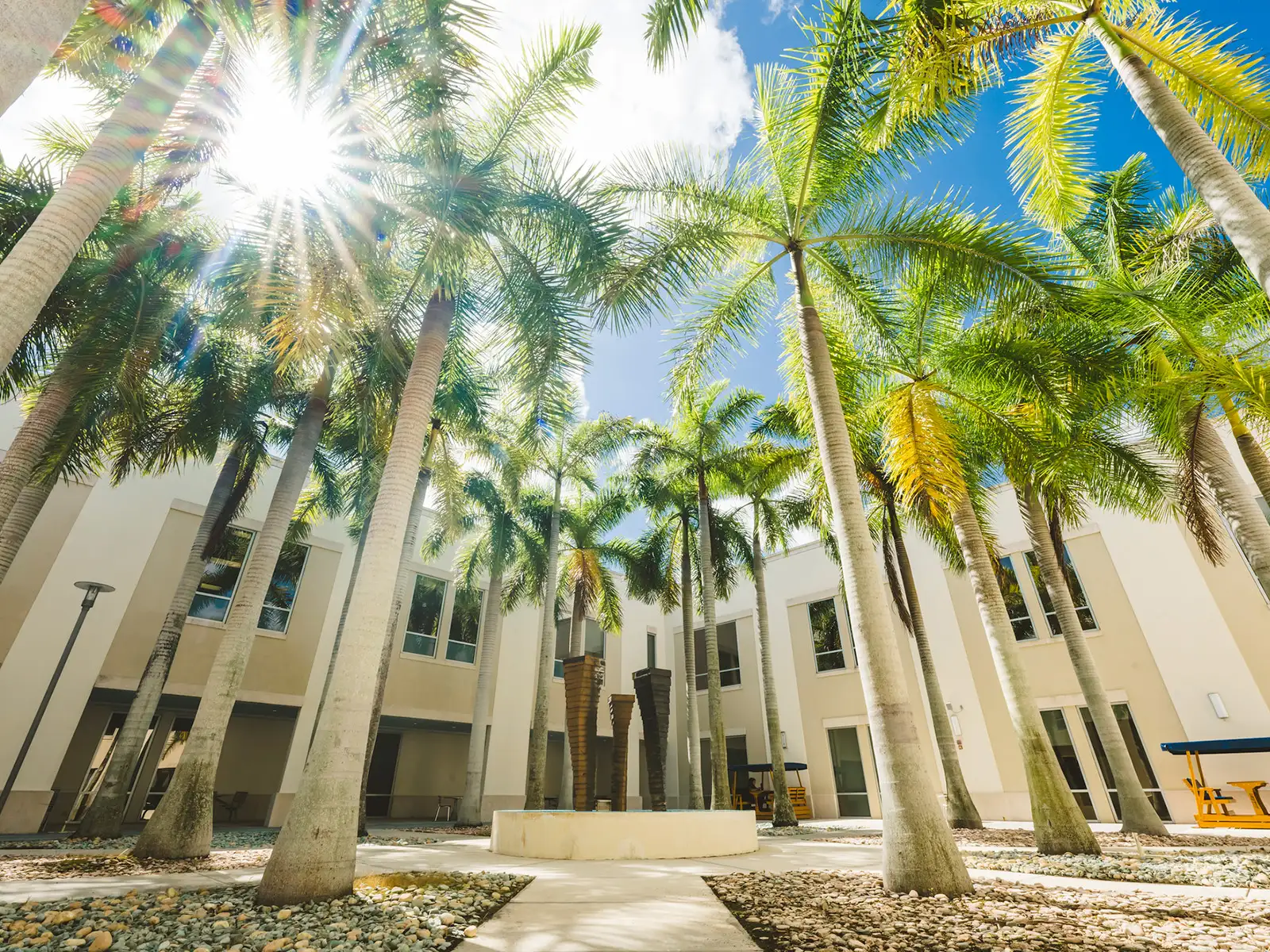 College of Law courtyard